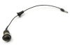 Wire and Socket Assembly - Backup / Reverse Light - Used ~ 1969 - 1970 Mercury Cougar