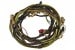 Taillight Wiring Harness - Standard - Grade B - Used ~ 1969 Mercury Cougar 7125,69tailwires-clone1 1969,1969 cougar,c9w,cougar,grade,harness,mercury,mercury cougar,standard,taillight,used,wiring,26949