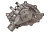 Water Pump - 289 / 302 / 351W - C8AE-A - Core ~ 1968 - 1969 Mercury Cougar / 1968 - 1969 Ford Mustang c8ae-a,1966,1966 mustang,1967,1967 cougar,1967 mustang,1968,1968 cougar,1968 mustang,1969,1969 cougar,1969 mustang,289,302,351,351w,C6Z,C7W,C7Z,C8W,C8Z,C9W,C9Z,cast iron,core,cougar,ford,ford mustang,hipo,mercury,mercury cougar,mustang,oem,pump,sb,small block,used,water,31030