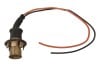 Taillight Socket - Passenger Side - Center ~ 1969 - 1970 Mercury Cougar