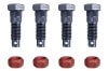 Fastener Kit - Strut Rod to Lower Control Arm - Repro ~ 1968 - 1973 Mercury Cougar / 1968 - 1973 Ford Mustang repro,31982,1968,1968 cougar,1968 mustang,1969,1969 cougar,1969 mustang,1970,1970 cougar,1970 mustang,1971,1971 cougar,1971 mustang,1972,1972 cougar,1972 mustang,1973,1973 cougar,1973 mustang,bushings,c8w,c8z,c9w,c9z,cougar,d0w,d0z,d1w,d1z,d2w,d2z,d3w,d3z,ford,ford mustang,mercury,mercury cougar,mustang,new,reproduction,rod,bolt,bolts,set,strut