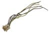 Wiring Pigtail - Taillight Harness to Taillight Housing - Driver Side - Used ~ 1971 - 1973 Mercury Cougar 1971,1971 cougar,1972,1972 cougar,1973,1973 cougar,32420,D1W,D2W,D3W,cougar,harness,housing,light,mercury,mercury cougar,pigtail,plug,repair,standard,tail,taillight,used,wire,wiring,xr7,pig,tail