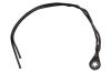 Wiring Pigtail - Taillight Harness to Ground Wire - STD/XR7 - Used ~ 1971 - 1973 Mercury Cougar  1971,1971 cougar,1972,1972 cougar,1973,1973 cougar,32509,D1W,D2W,D3W,bracket,cougar,filler,fuel,ground,harness,light,lite,mercury,mercury cougar,pigtail,repair,tail,taillight,used,wire,wiring