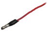 Wiring Pigtail - Under Dash Harness - Lead from Ignition Switch - Used ~ 1969 Mercury Cougar 1969,1969 cougar,c9w,cougar,dash,harness,ignition,ignition switch,lead,loom,main,mercury,mercury cougar,pigtail,plug,repair,standard,switch,under,used,wiring,xr7,15765